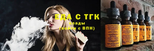 тгк Инсар