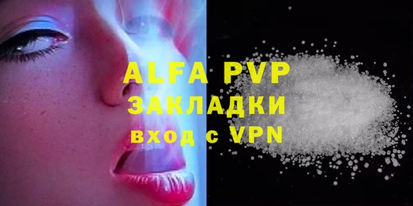 тгк Инсар
