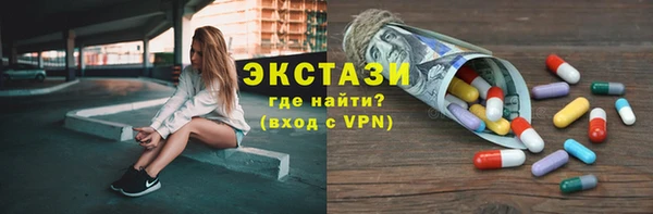 тгк Инсар