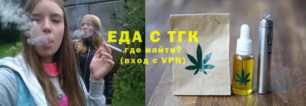 тгк Инсар