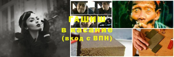 тгк Инсар