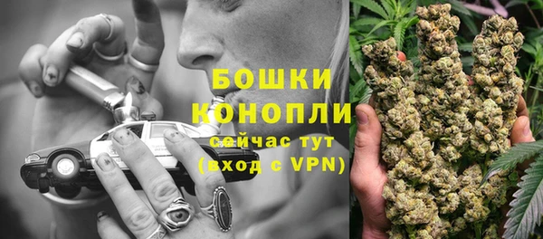 Альфа ПВП Инта