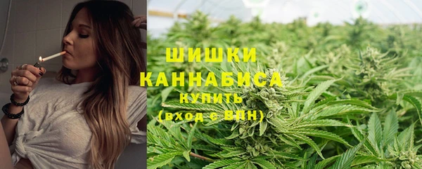 тгк Инсар