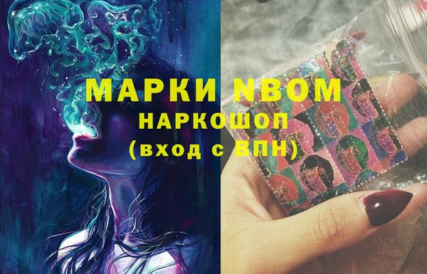 тгк Инсар