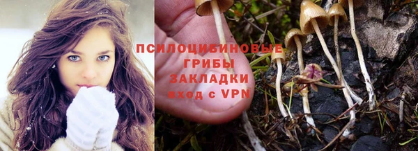 тгк Инсар