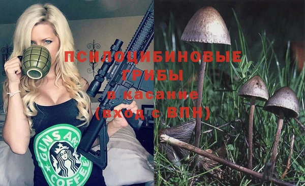 Альфа ПВП Инта