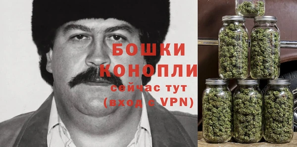 Альфа ПВП Инта