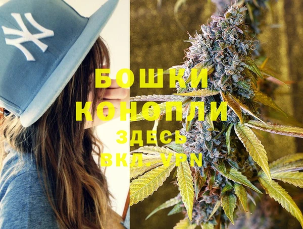 Альфа ПВП Инта