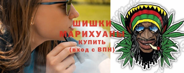 Альфа ПВП Инта