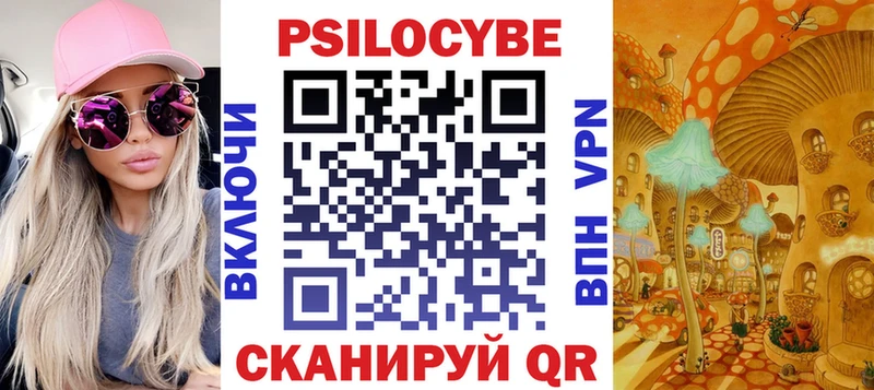Псилоцибиновые грибы Psilocybe Купить где Солигалич